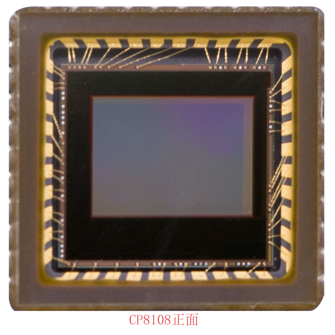 宽动态摄像头模组，CP8108,120db动态范围摄像头，800tvl，1/3-inch analog camera CMOS sensor，CLAIRPIXEL cmos，韩国产CMOS，可视门铃模组，大像素单元SENSOR