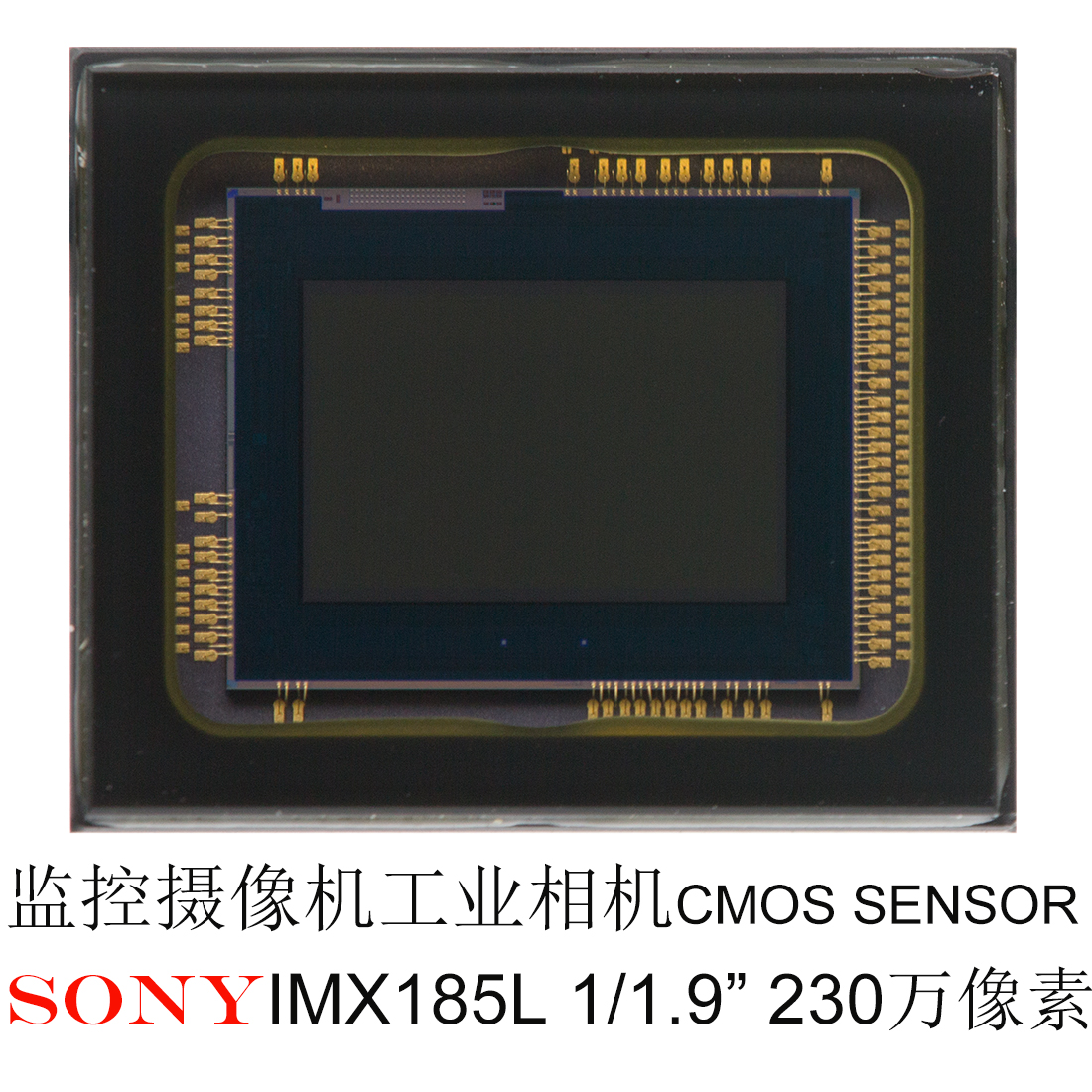 SONY IMX185L价格，SONY IMX185L datasheet，SONY IMX185L文档下载，SONY IMX185L原装现货，SONY IMX185L现货库存，SONY IMX185L芯片，SONY IMX185L图片，SONY IMX185L规格书，SONY IMX185L代理商，SONY IMX185L技术支持，SONY IMX185L产品介绍，SONY IMX185L参数，SONY IMX185L方案商，SONY IMX185L分销商，SONY IMX185L经销商，SONY IMX185L官网，SONY IMX185L生产厂家，SONY IMX185L专卖店，SONY IMX185L高价收购，SONY IMX185L模组，SONY IMX185L模块，SONY IMX185L特价，SONY IMX185L库存，SONY IMX185L生产商，SONY IMX185L性价比,SONY IMX185L哪里买，230万像素1/1.9