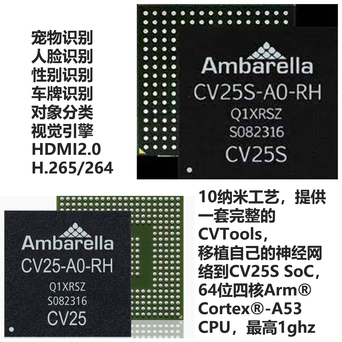 CV25S SoC，CV25M-A1-RH,CV25S55M-A1-RH,安霸Ambarella