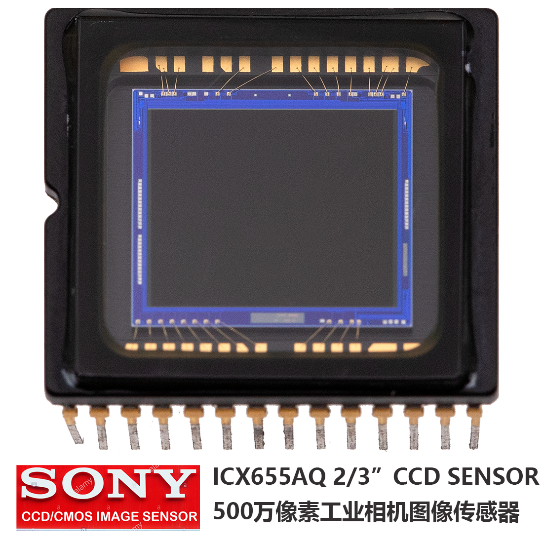 ICX655AQ, 5MP CCD SENSOR, SONY 5百万像素图像传感器，2/3 inch索尼SONY超大像素点CCD SENSOR, FOR industrial camera,工业相机图像传感器