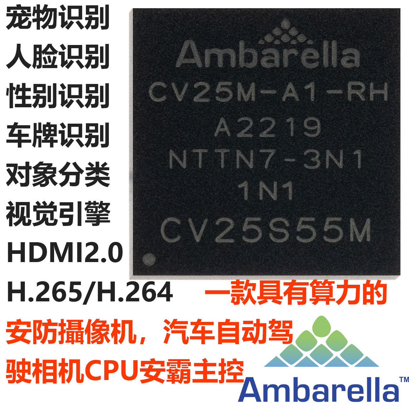 CV25S SoC，CV25M-A1-RH,CV25S55M-A1-RH,安霸Ambarella