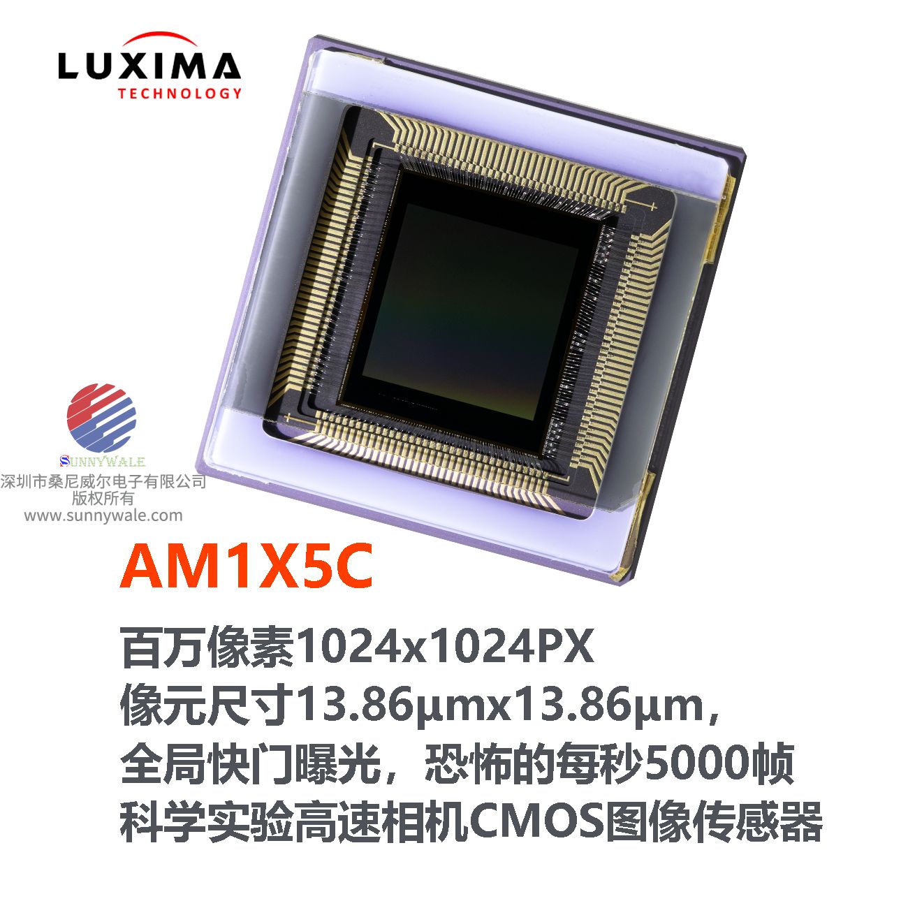 AM1X5C