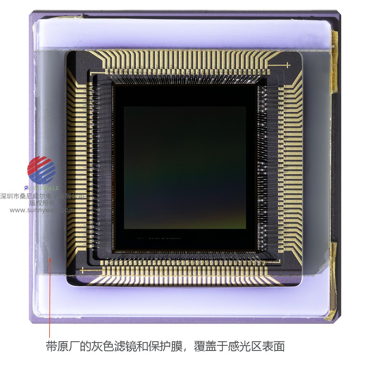  鲁西玛 AM1X5,史上最快的SENSOR,最高帧率的CMOS图像传感器，低像素超高帧率 cmos sensor，LUXIMA,ALEXIMA，低像素高帧率CMOS