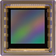 CMV4000-3E5C1PP AMS 1英寸全局快门彩色RGB CMOS 4百万像素(4MP) 2048x2048的全分辨率下实现了180帧/秒的超高速彩色图像传感器