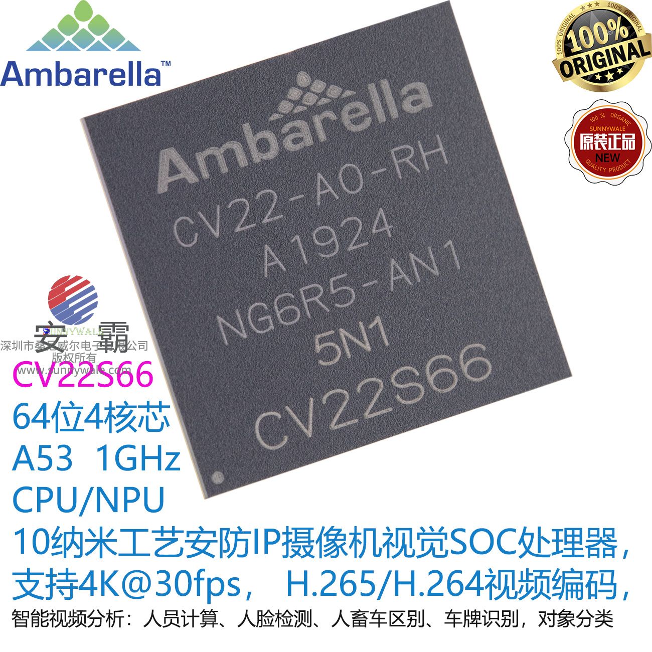 CV22S66-A0-RH datasheet