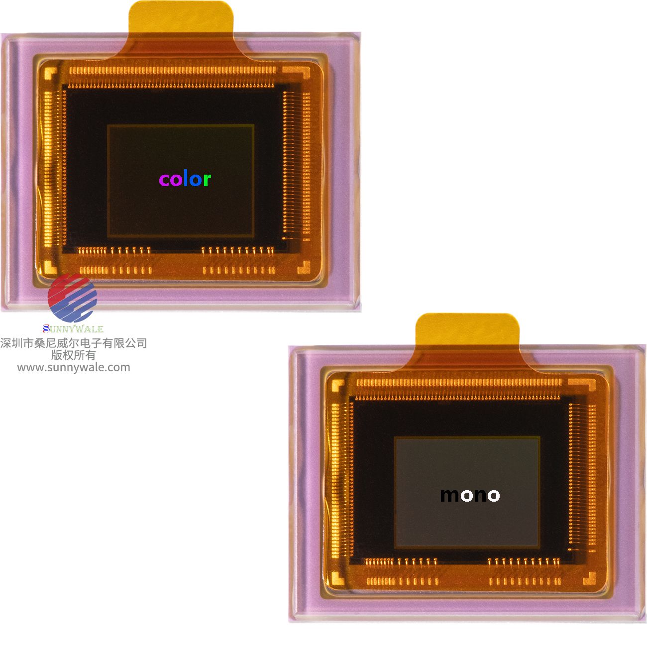 IMX900-AQR-C彩色，IMX900-AMR-C黑白