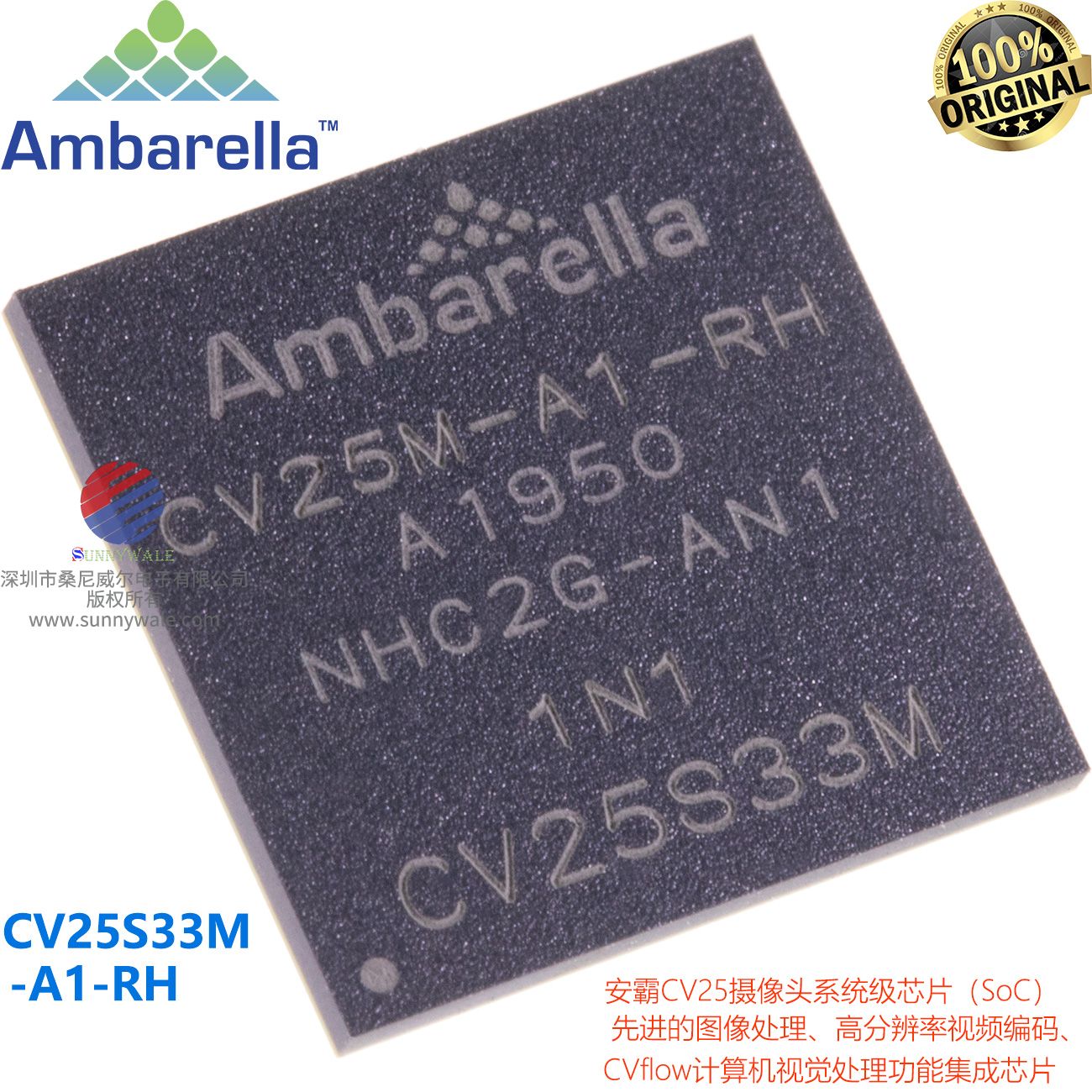 CV25S33M-A1-RH datasheet